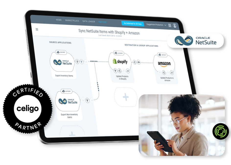 NetSuite Celigo Integration Management NetSuite Celigo Integration Management